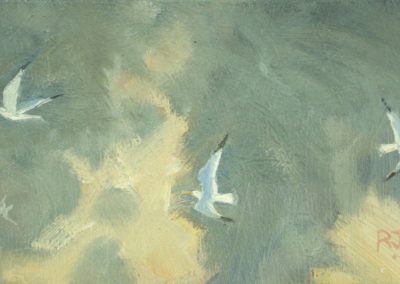 Flight Of The Gulls VI