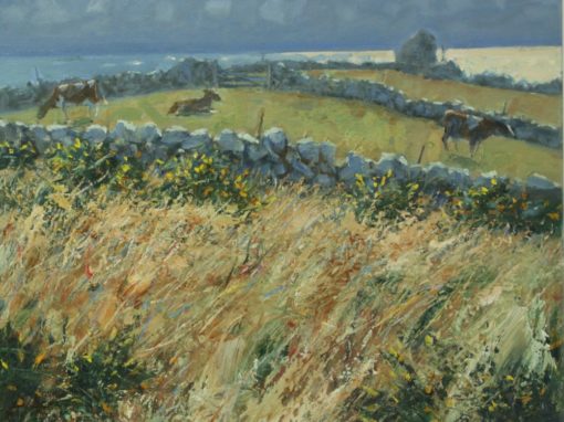 Gorse, Sea and Cows, Troy Town, St Agnes, Isles of Scilly I