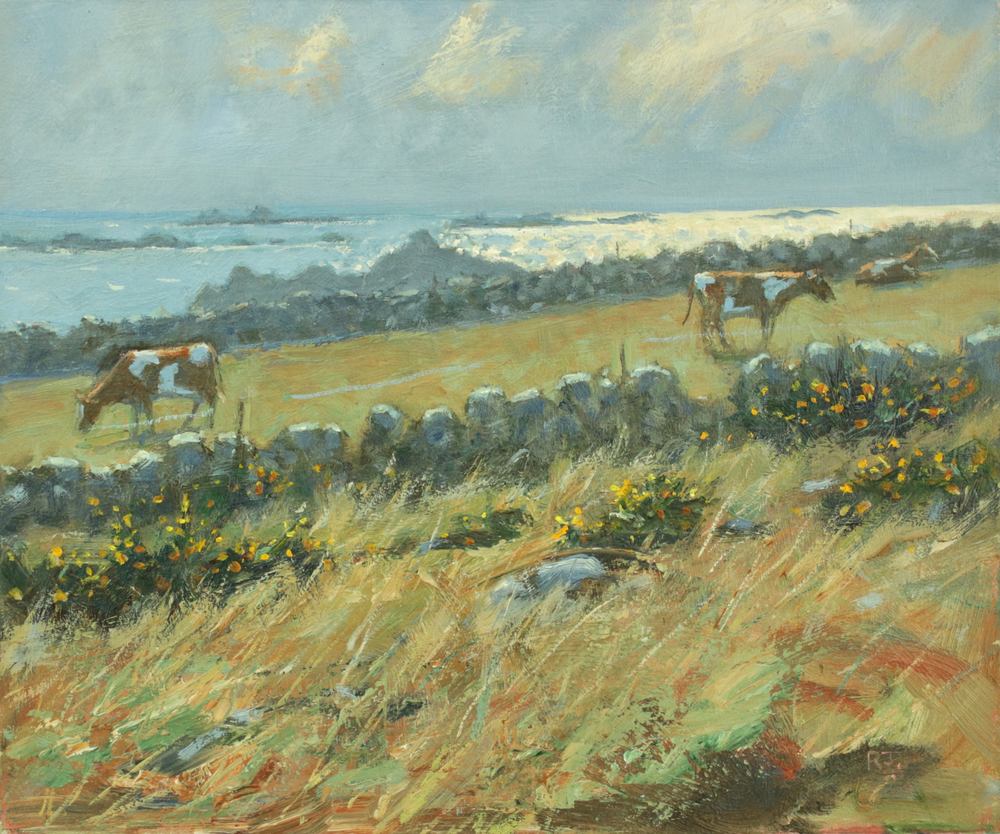 Troy Town Farm St Agnes Isles of Scilly II