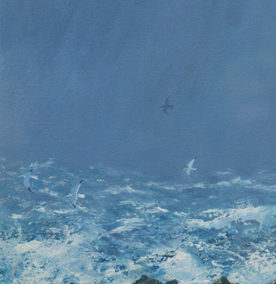 Sea & Gulls