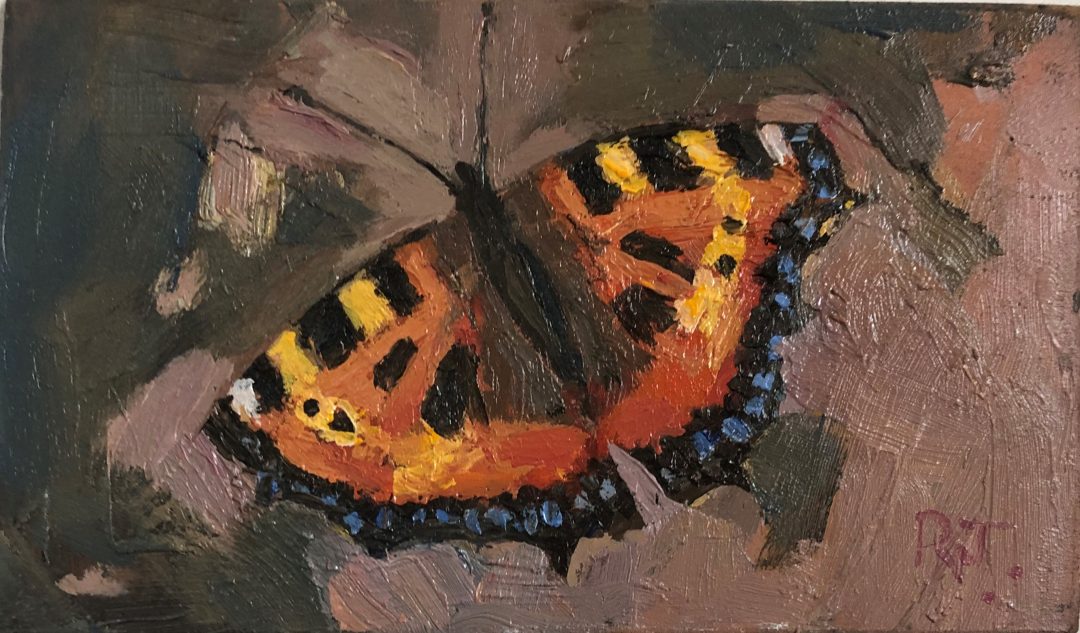 Tortoiseshell Butterfly painting