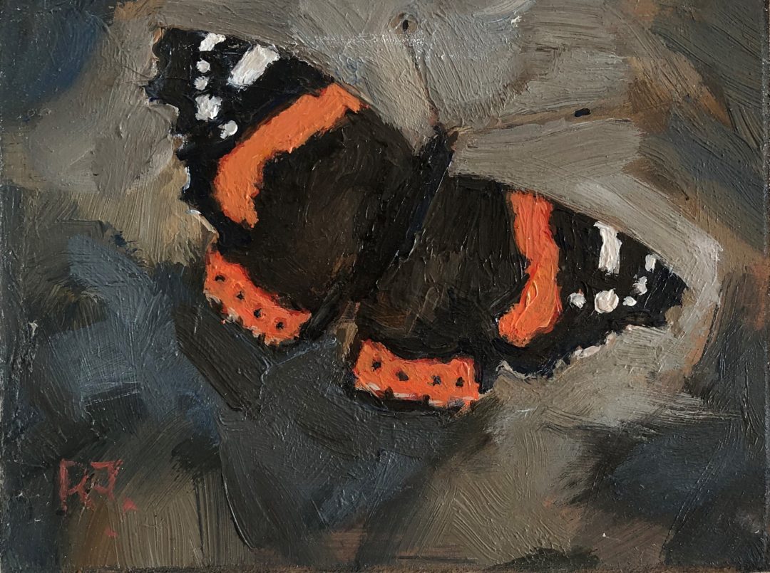 Red Admiral
