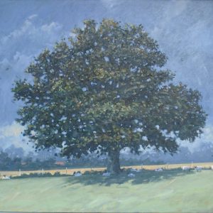 Summer Oak by Robert Jones