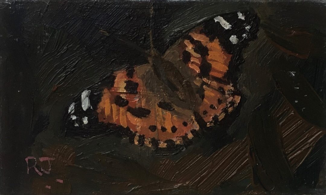 Painted Lady Butterfly