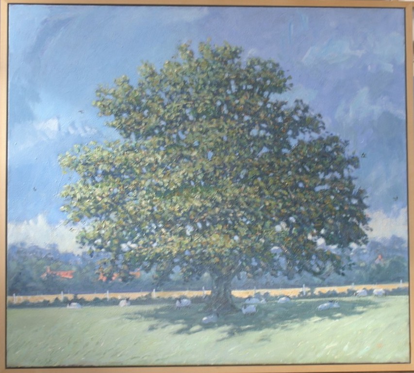 Summer Oak and Sheep